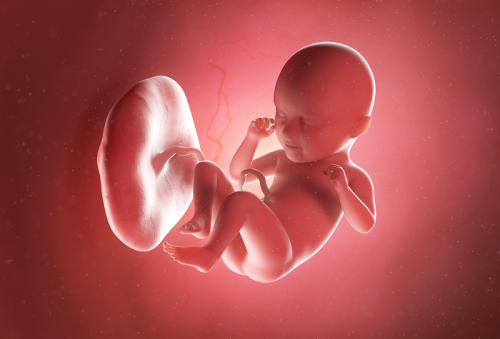 孕期如何预防胎儿偏大？