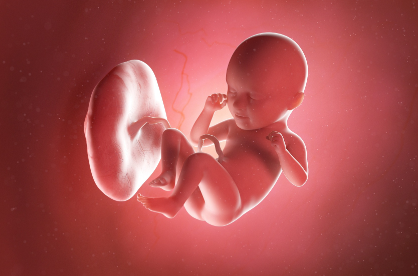 怀孕期间喝酒了对胎儿有影响吗？有什么影响？